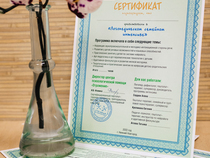 Квалифицированный психолог